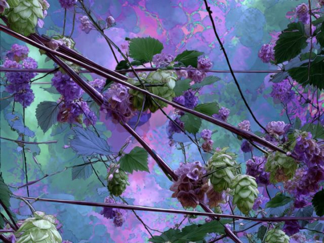 Técnicas de Poda Mano Grow